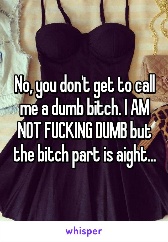 No, you don't get to call me a dumb bitch. I AM NOT FUCKING DUMB but the bitch part is aight...