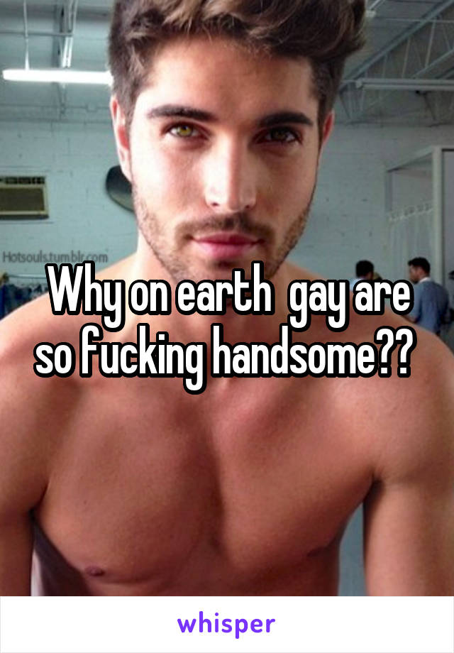 Why on earth  gay are so fucking handsome?? 