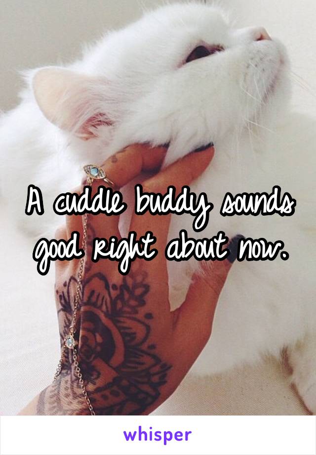 A cuddle buddy sounds good right about now.