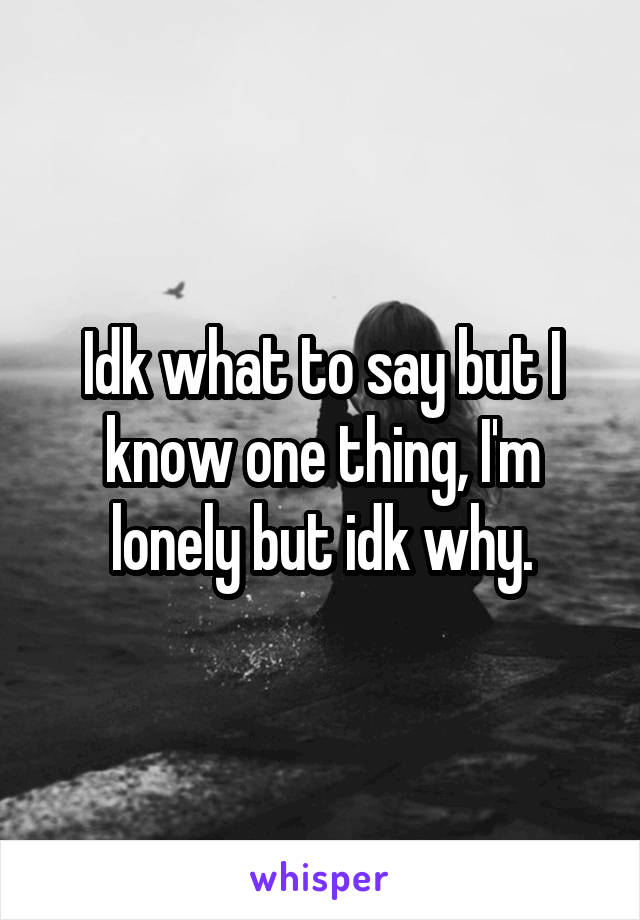 Idk what to say but I know one thing, I'm lonely but idk why.