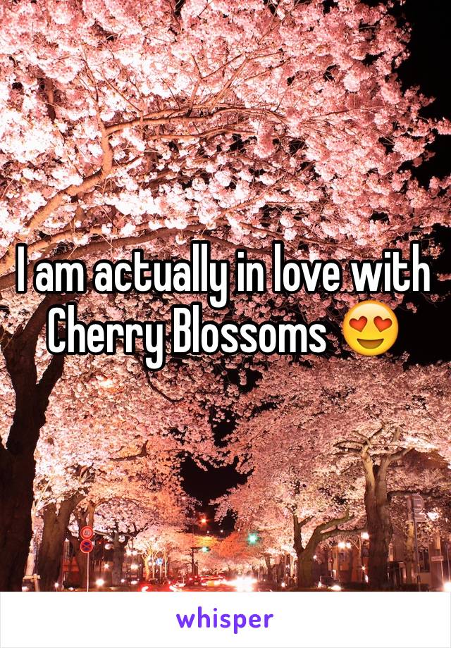 I am actually in love with Cherry Blossoms 😍
