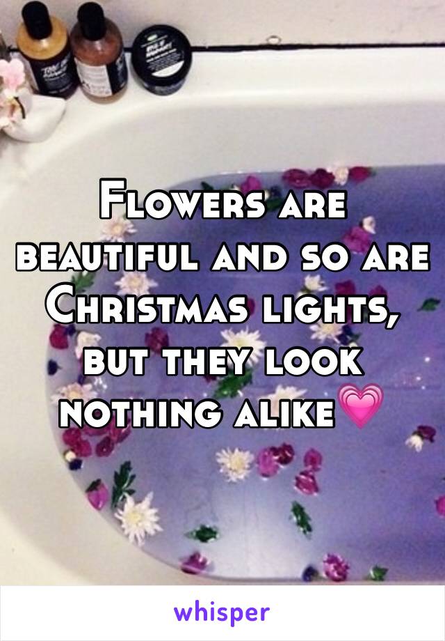 Flowers are beautiful and so are Christmas lights, but they look nothing alike💗