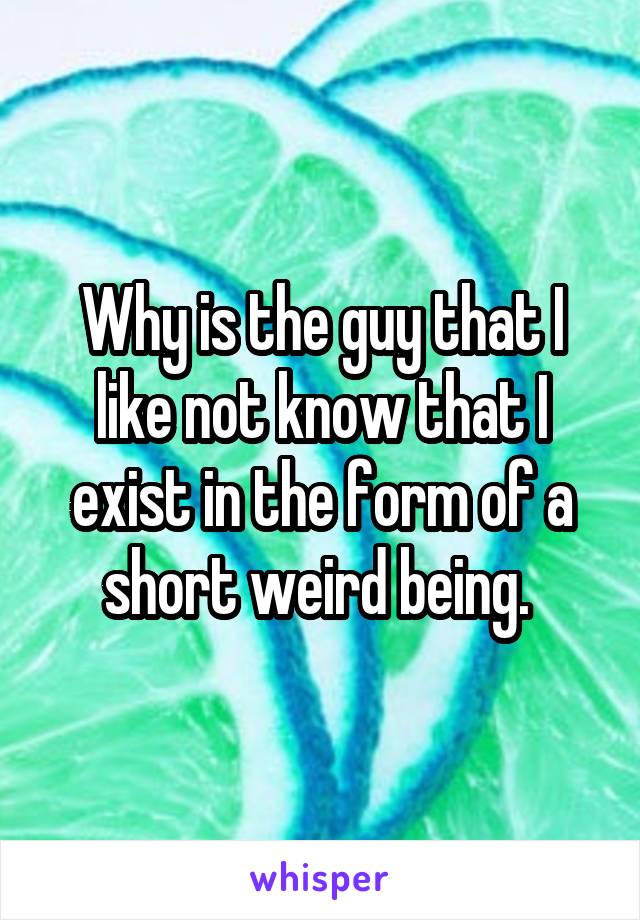 Why is the guy that I like not know that I exist in the form of a short weird being. 