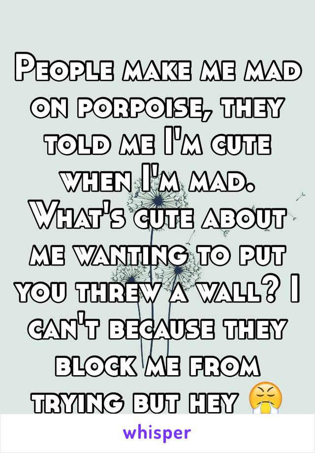 People make me mad on porpoise, they told me I'm cute when I'm mad. What's cute about me wanting to put you threw a wall? I can't because they block me from trying but hey 😤