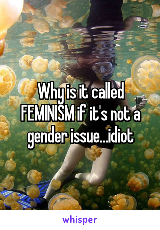 Why is it called FEMINISM if it's not a gender issue...idiot