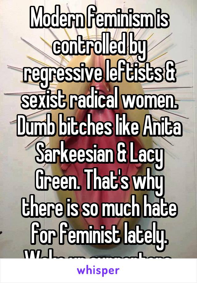 Modern feminism is controlled by regressive leftists & sexist radical women. Dumb bitches like Anita Sarkeesian & Lacy Green. That's why there is so much hate for feminist lately. Wake up supporters.