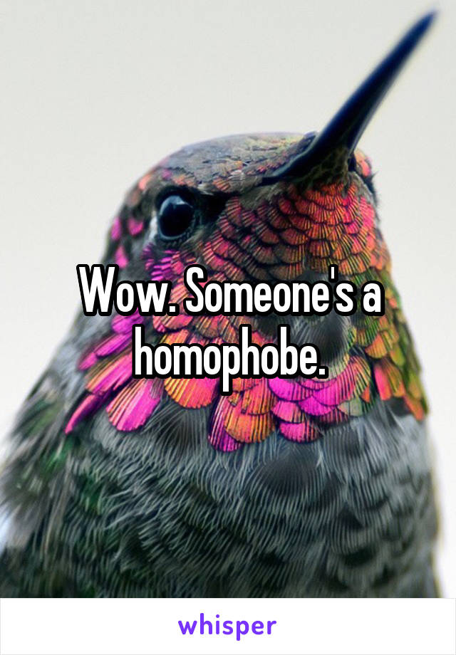 Wow. Someone's a homophobe.