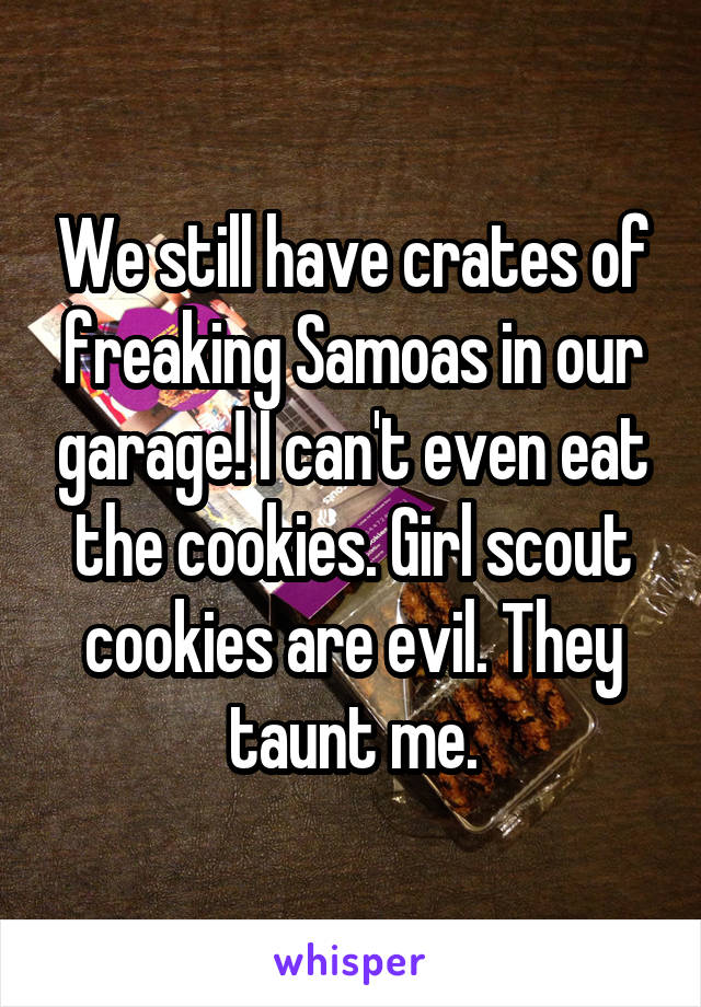 We still have crates of freaking Samoas in our garage! I can't even eat the cookies. Girl scout cookies are evil. They taunt me.