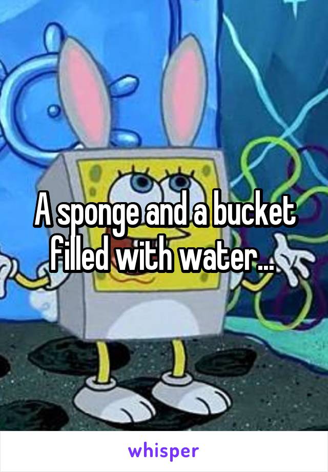 A sponge and a bucket filled with water... 