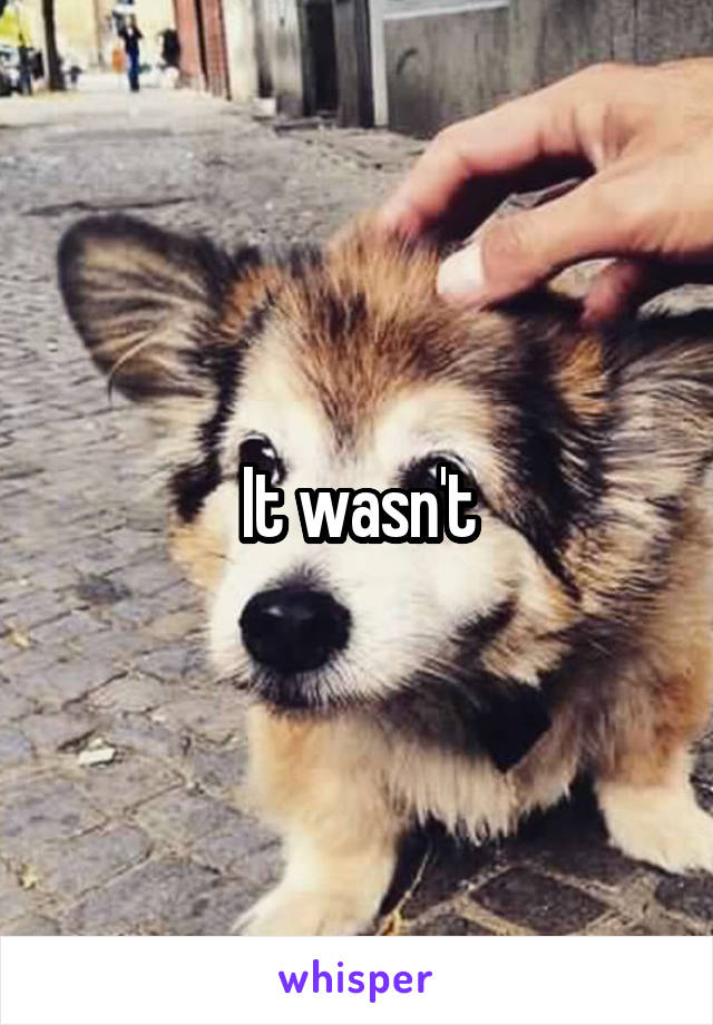It wasn't