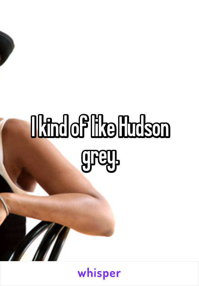 I kind of like Hudson grey.