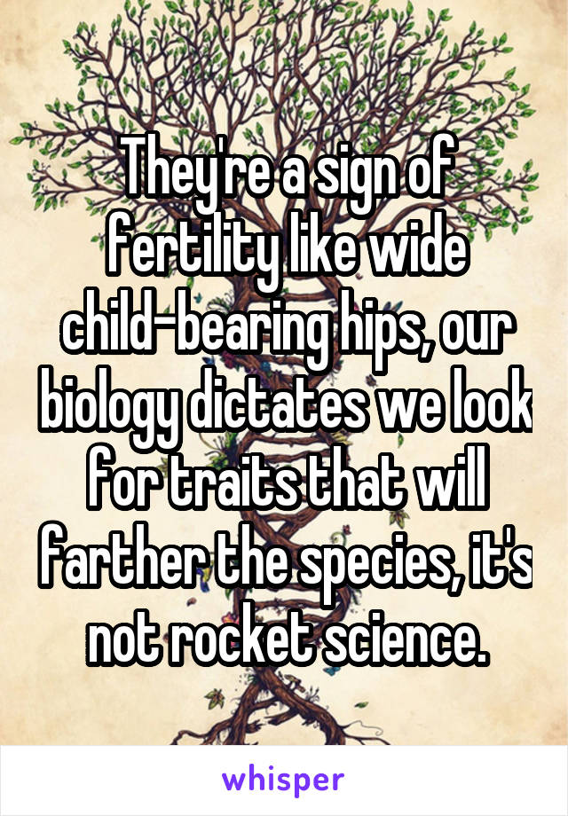 They're a sign of fertility like wide child-bearing hips, our biology dictates we look for traits that will farther the species, it's not rocket science.