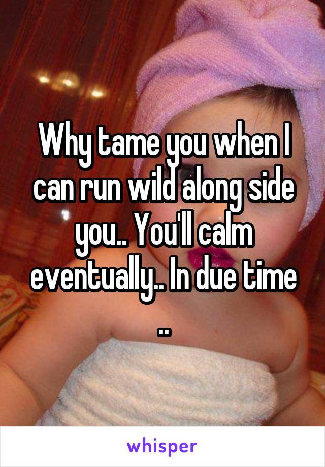 Why tame you when I can run wild along side you.. You'll calm eventually.. In due time ..