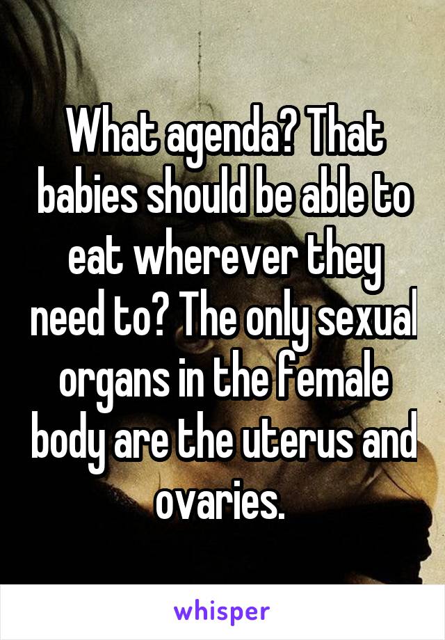 What agenda? That babies should be able to eat wherever they need to? The only sexual organs in the female body are the uterus and ovaries. 