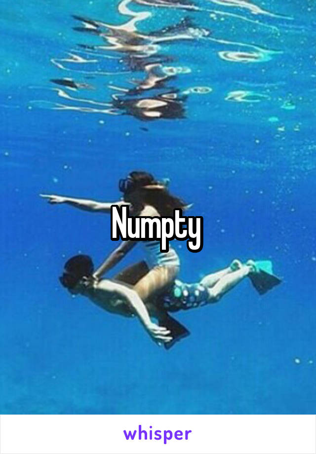 Numpty 