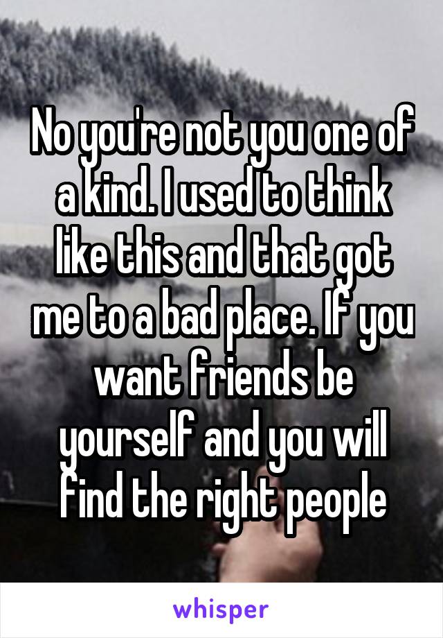 No you're not you one of a kind. I used to think like this and that got me to a bad place. If you want friends be yourself and you will find the right people