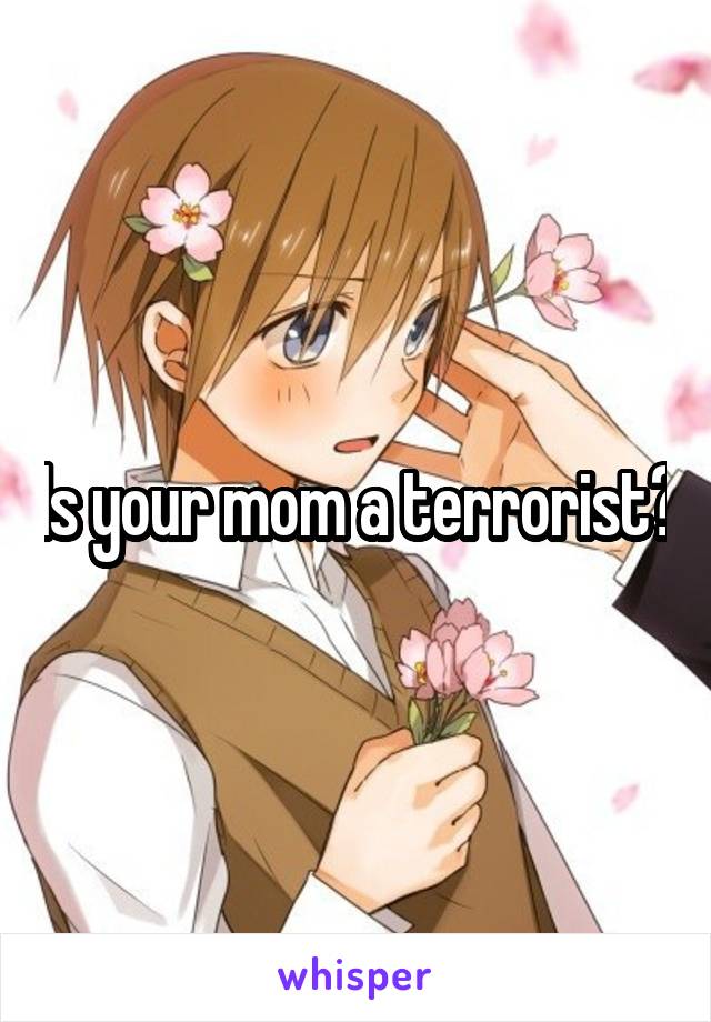 Is your mom a terrorist?