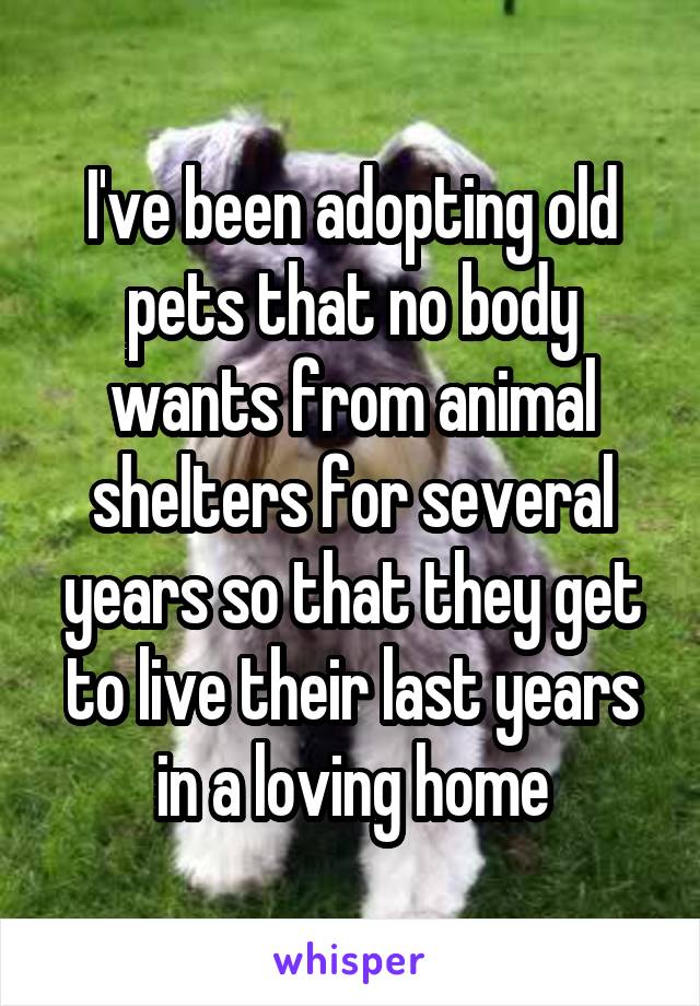 I've been adopting old pets that no body wants from animal shelters for several years so that they get to live their last years in a loving home