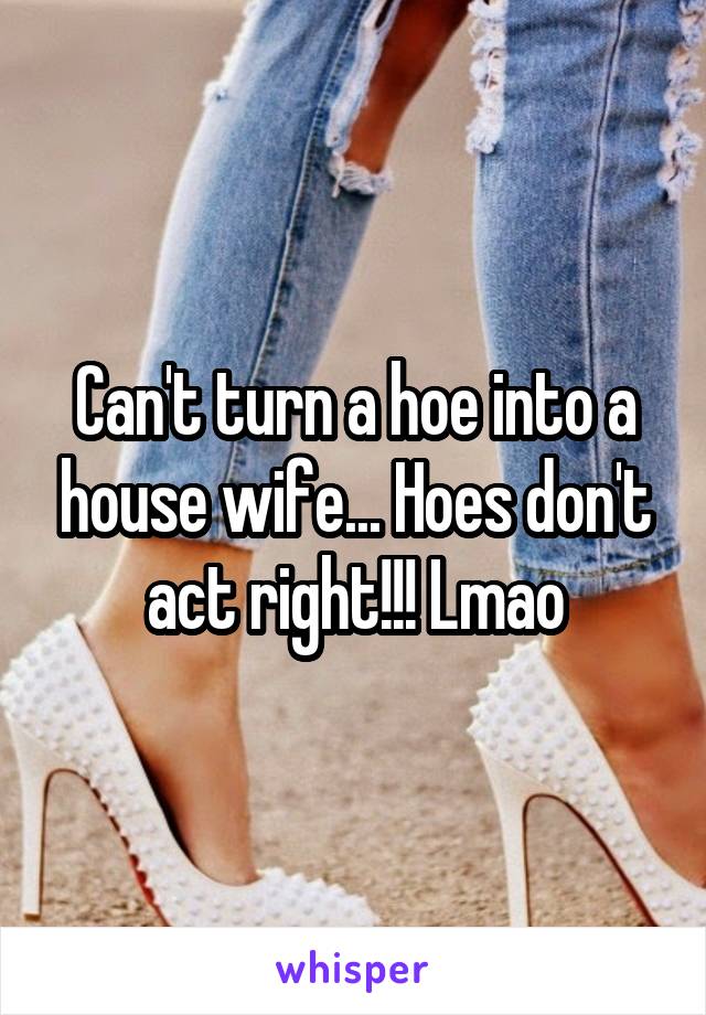 Can't turn a hoe into a house wife... Hoes don't act right!!! Lmao