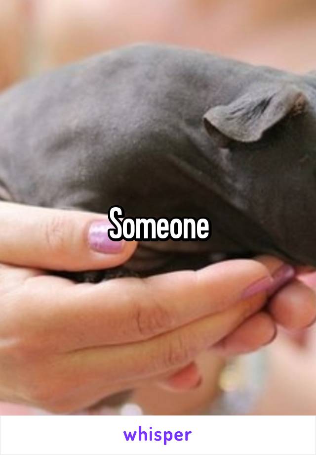 Someone