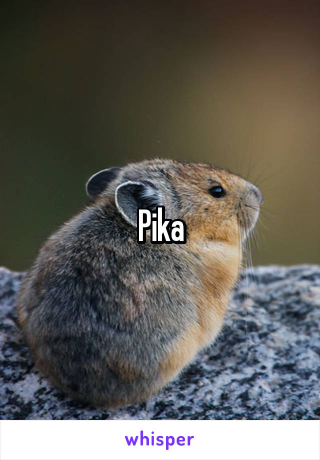 Pika