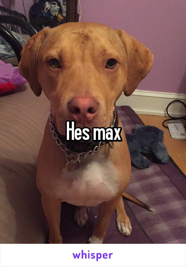 Hes max