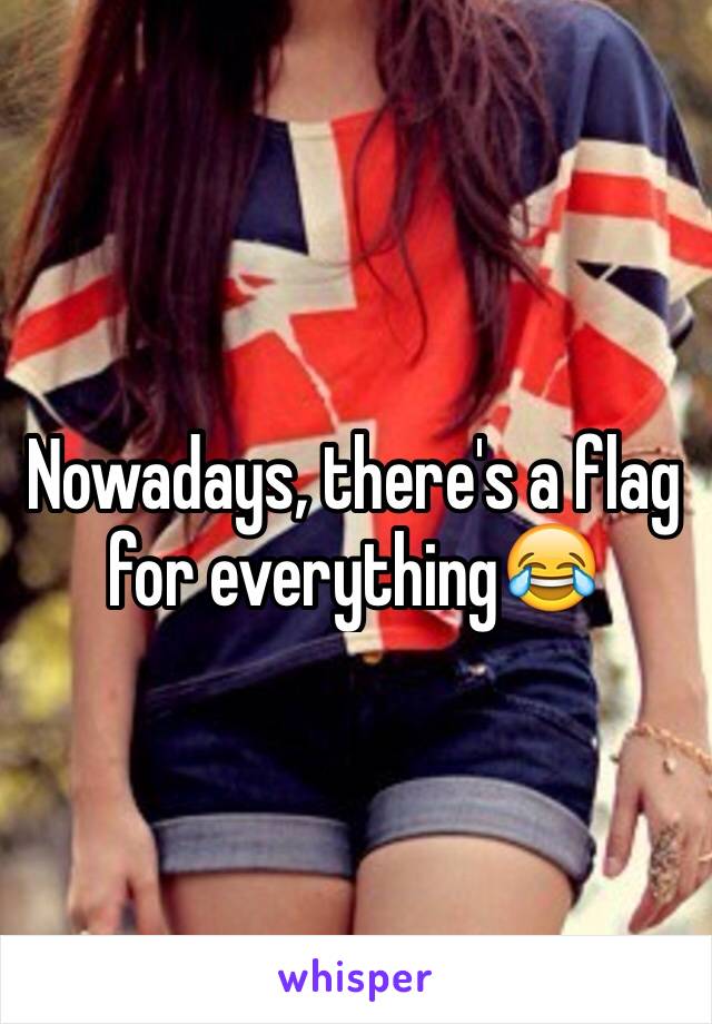 Nowadays, there's a flag for everything😂