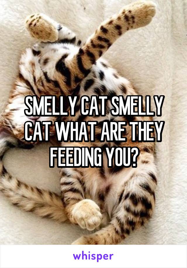 SMELLY CAT SMELLY CAT WHAT ARE THEY FEEDING YOU?