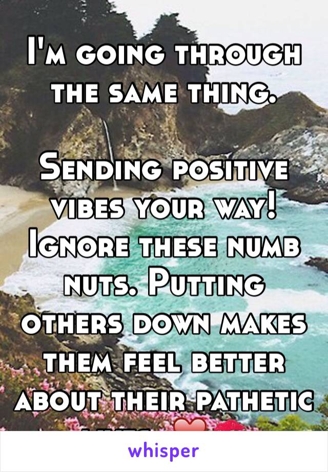 I'm going through the same thing.

Sending positive vibes your way! Ignore these numb nuts. Putting others down makes them feel better about their pathetic lives. ❤️💋