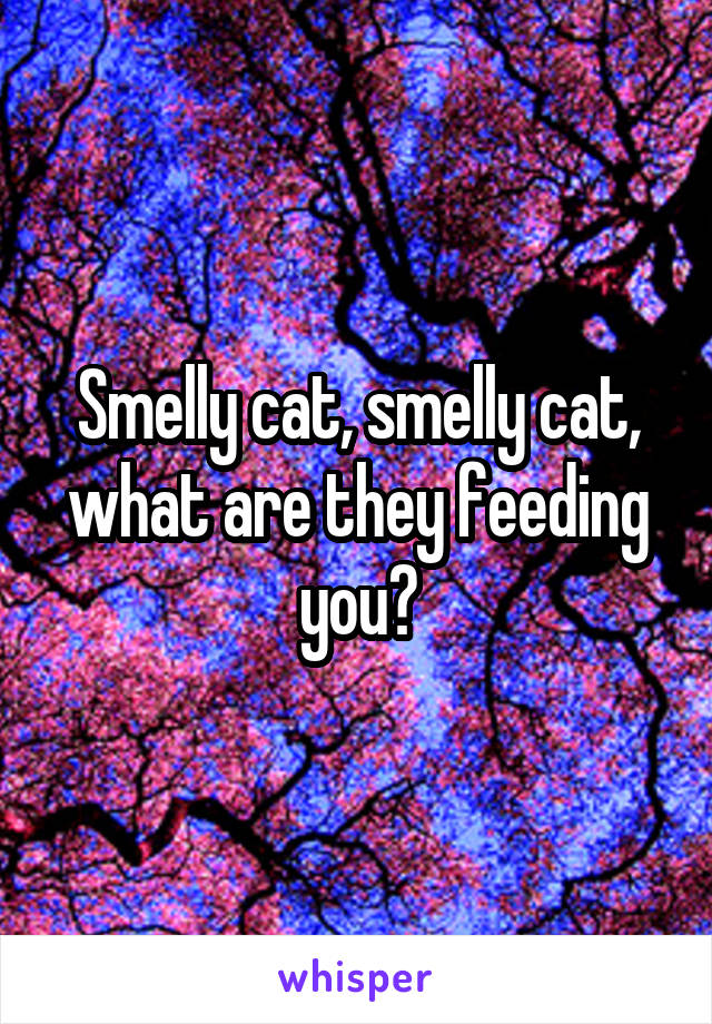 Smelly cat, smelly cat, what are they feeding you?