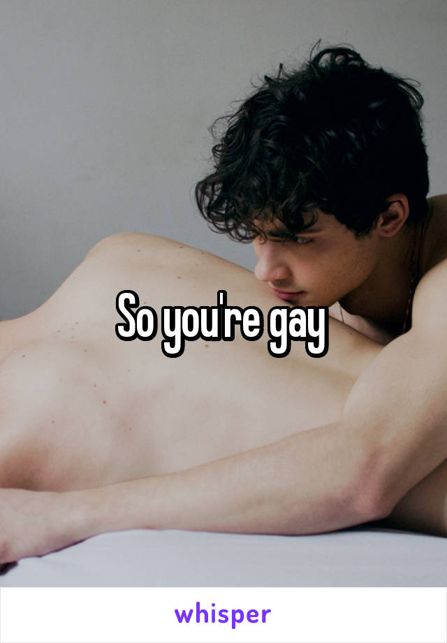 So you're gay 