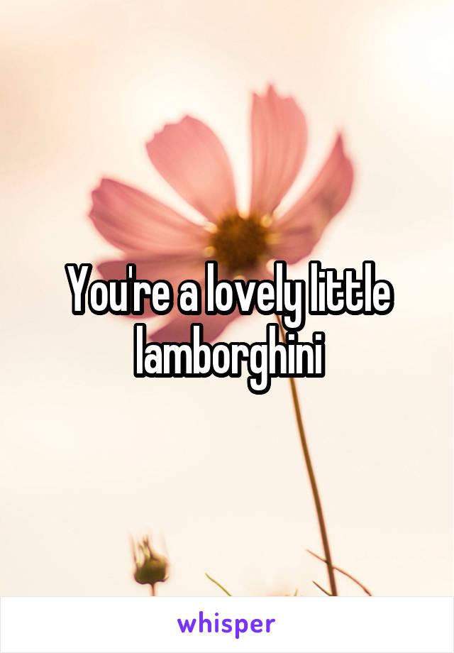 You're a lovely little lamborghini