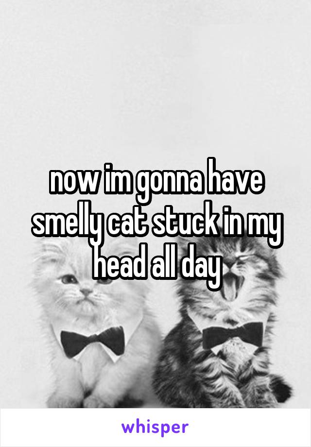 now im gonna have smelly cat stuck in my head all day