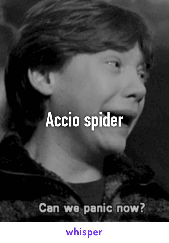 Accio spider