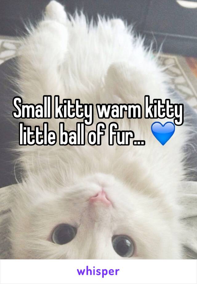 Small kitty warm kitty little ball of fur... 💙