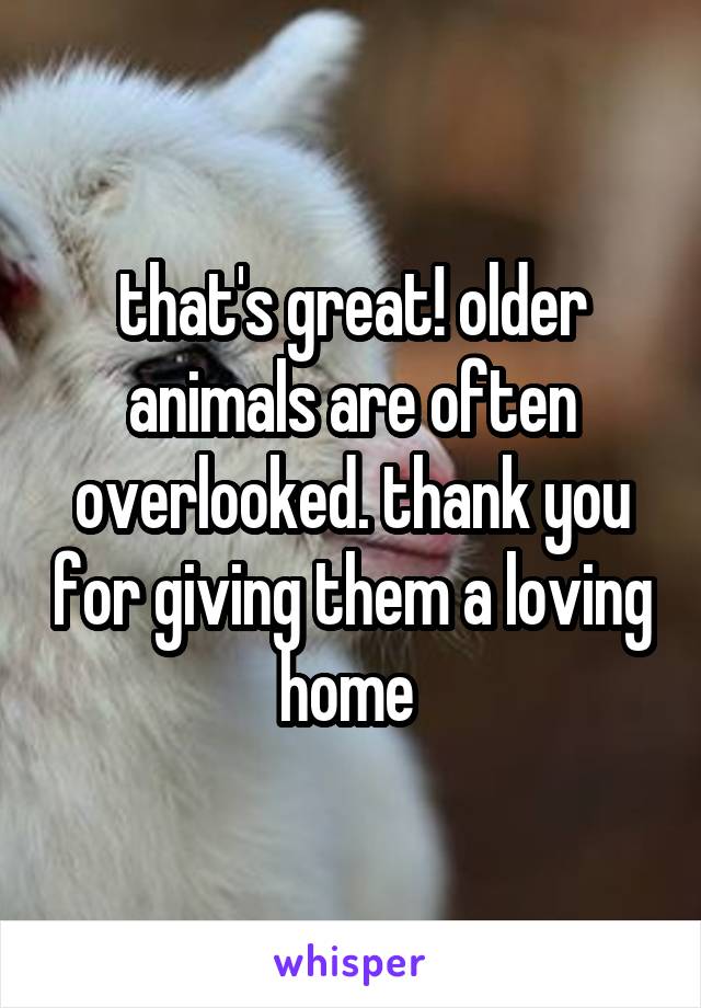 that's great! older animals are often overlooked. thank you for giving them a loving home 
