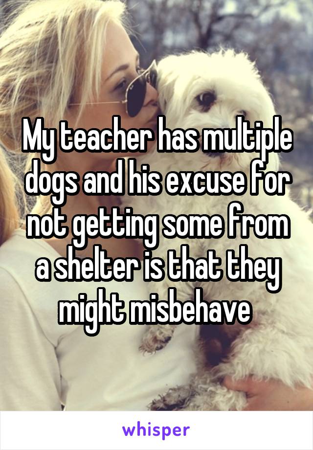 My teacher has multiple dogs and his excuse for not getting some from a shelter is that they might misbehave 