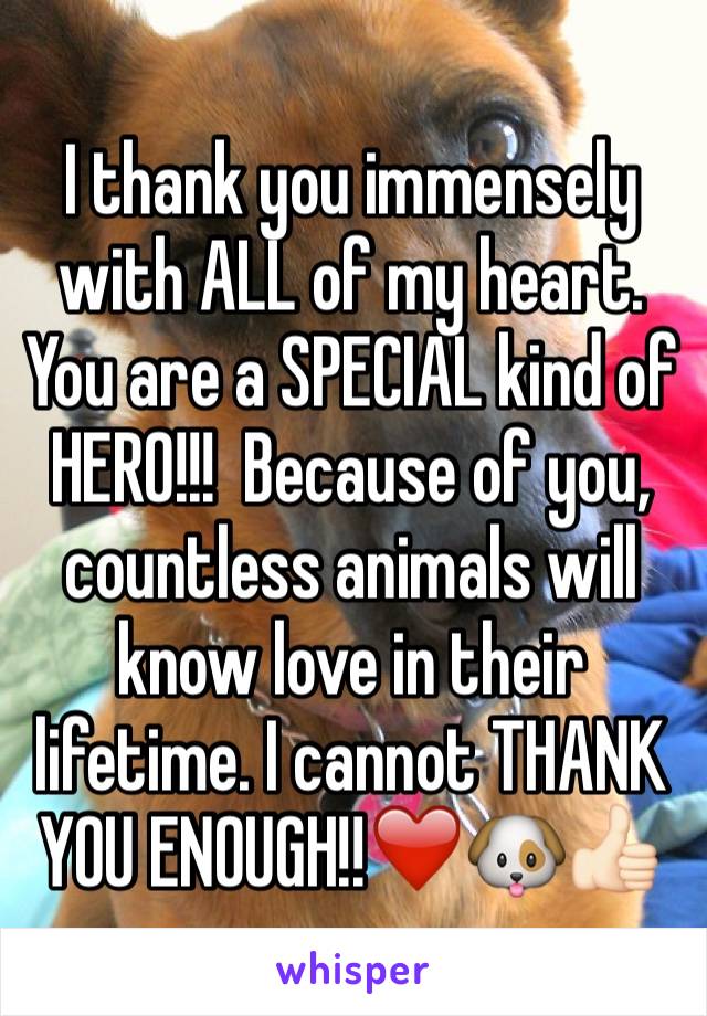 I thank you immensely with ALL of my heart. You are a SPECIAL kind of HERO!!!  Because of you, countless animals will know love in their lifetime. I cannot THANK YOU ENOUGH!!❤️🐶👍🏻