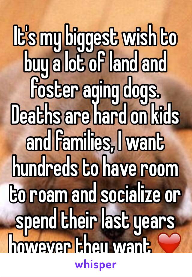 It's my biggest wish to buy a lot of land and foster aging dogs. Deaths are hard on kids and families, I want hundreds to have room to roam and socialize or spend their last years however they want ❤️