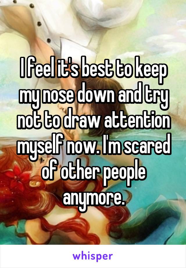 I feel it's best to keep my nose down and try not to draw attention myself now. I'm scared of other people anymore.