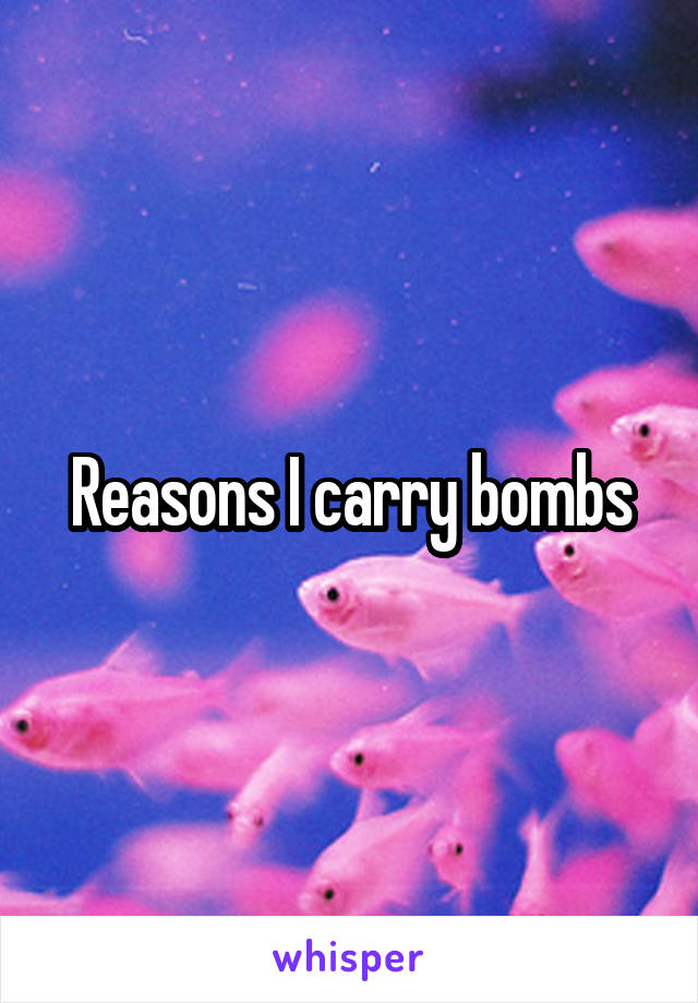 Reasons I carry bombs