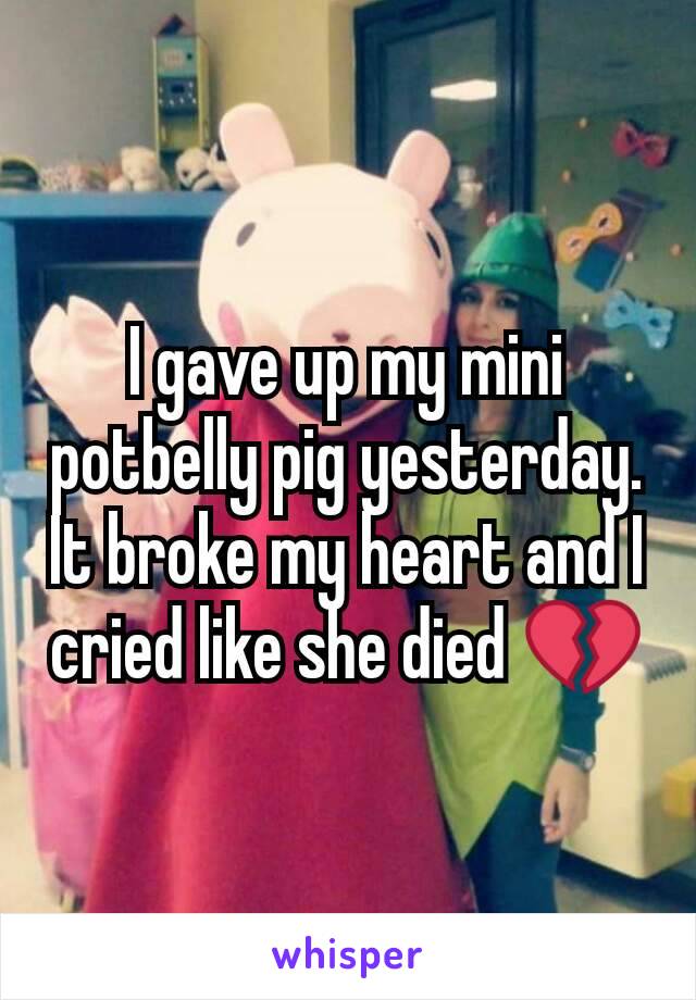 I gave up my mini potbelly pig yesterday. It broke my heart and I cried like she died 💔