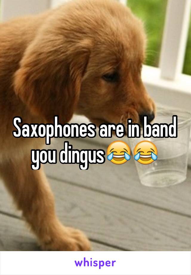 Saxophones are in band you dingus😂😂