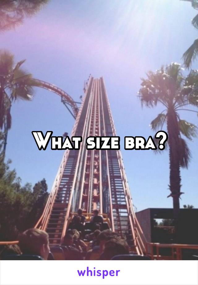 What size bra?