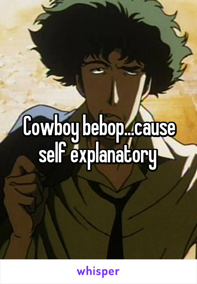 Cowboy bebop...cause self explanatory 