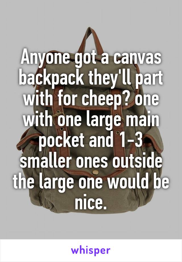 Anyone got a canvas backpack they'll part with for cheep? one with one large main pocket and 1-3 smaller ones outside the large one would be nice.