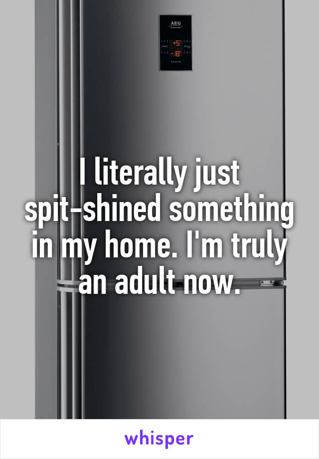 I literally just spit-shined something in my home. I'm truly an adult now.