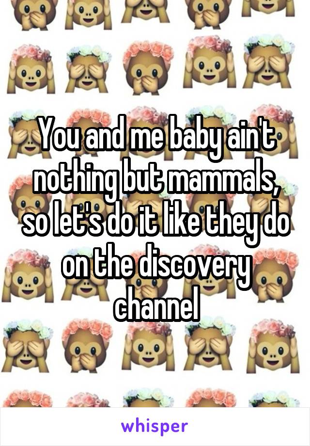 You and me baby ain't nothing but mammals, so let's do it like they do on the discovery channel