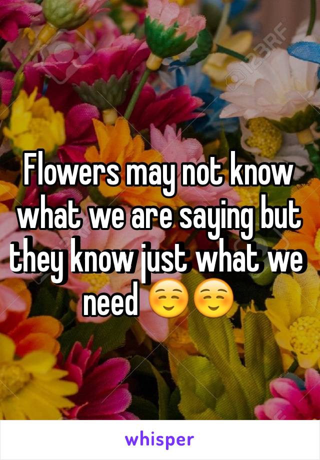 Flowers may not know what we are saying but they know just what we need ☺️☺️