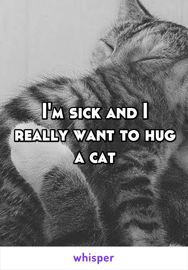 I'm sick and I really want to hug a cat